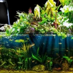 aquaticplants1